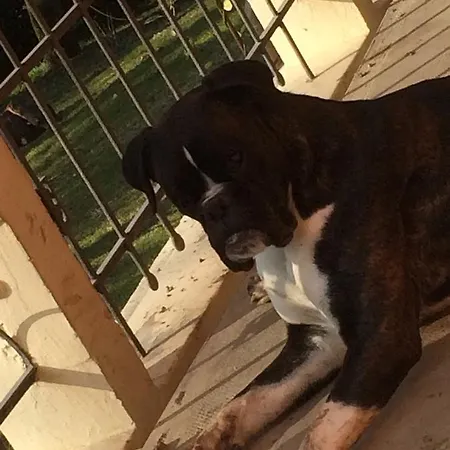 Bed & Breakfast La Familia *