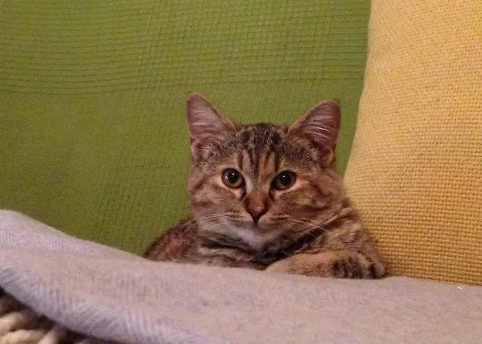 Couette-café La Familia Lazise