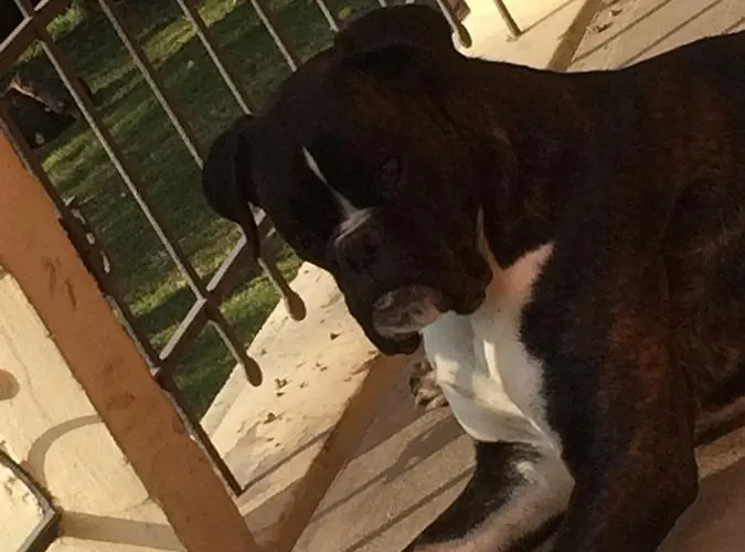 Couette-café La Familia *